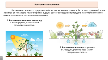 Растенията около нас